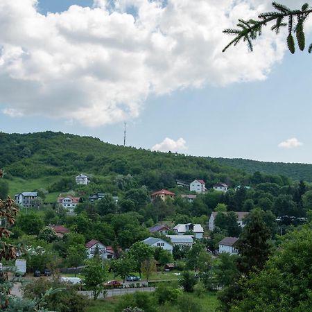 Hotel Complex Caprice-Monteoru Sărata-Monteoru Esterno foto